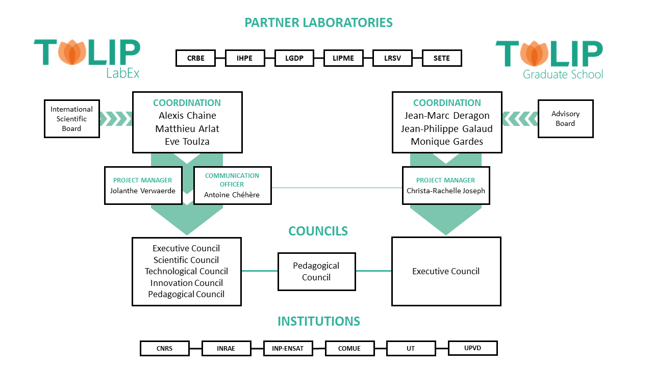 organigrammes sources 2025 organigrammes sources 2025
