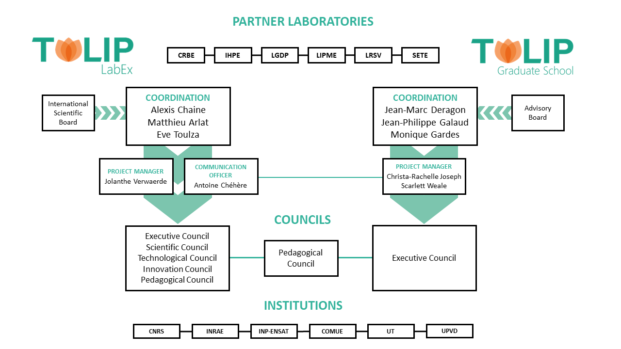 organigrammes sources 2025
