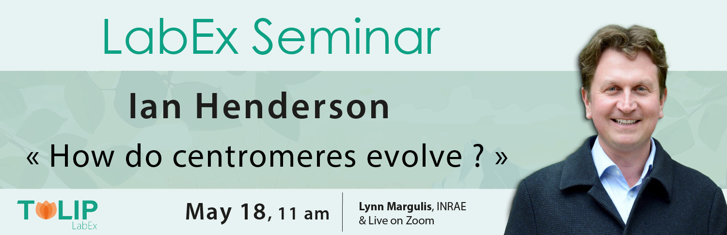 Plan de travail 1ian.png