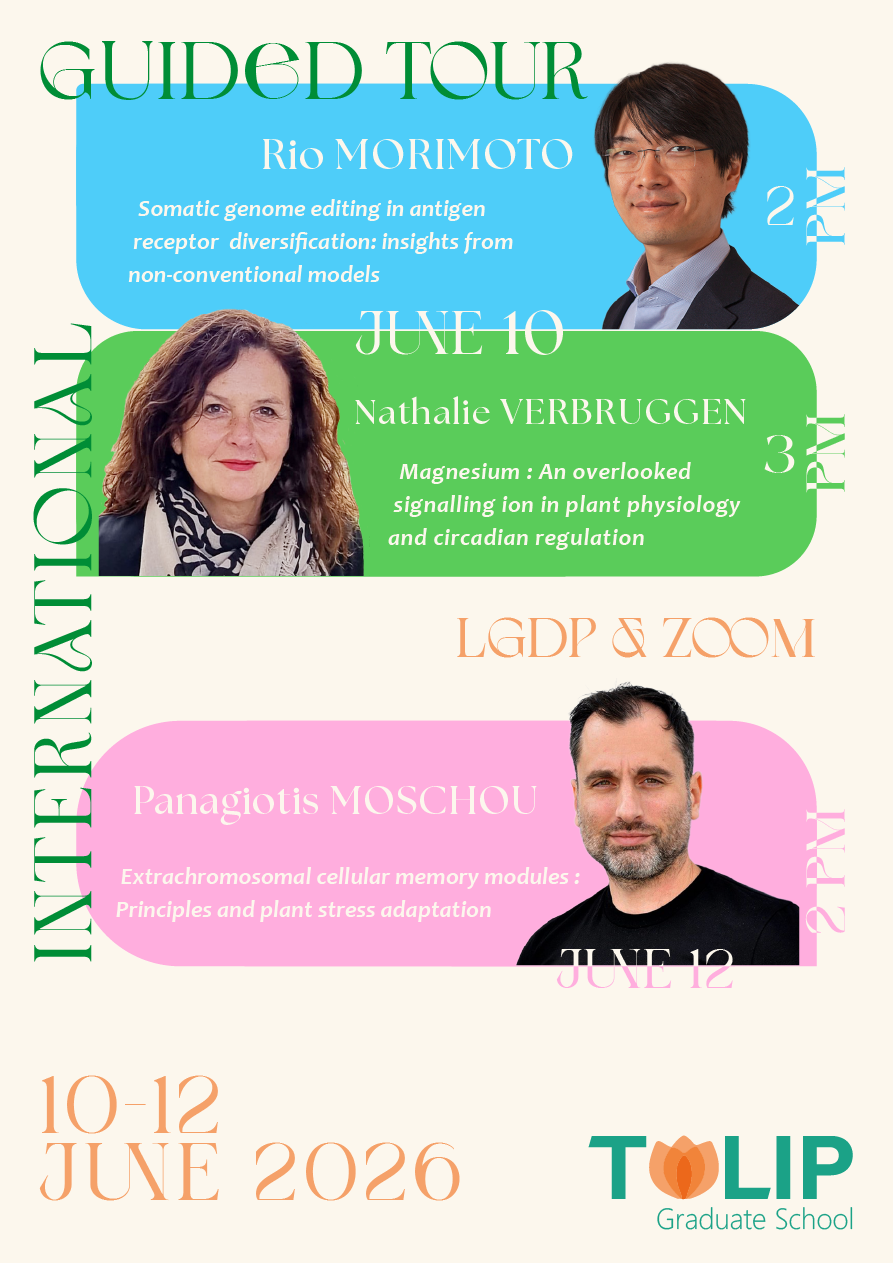 Plan de travail 1guided june 26