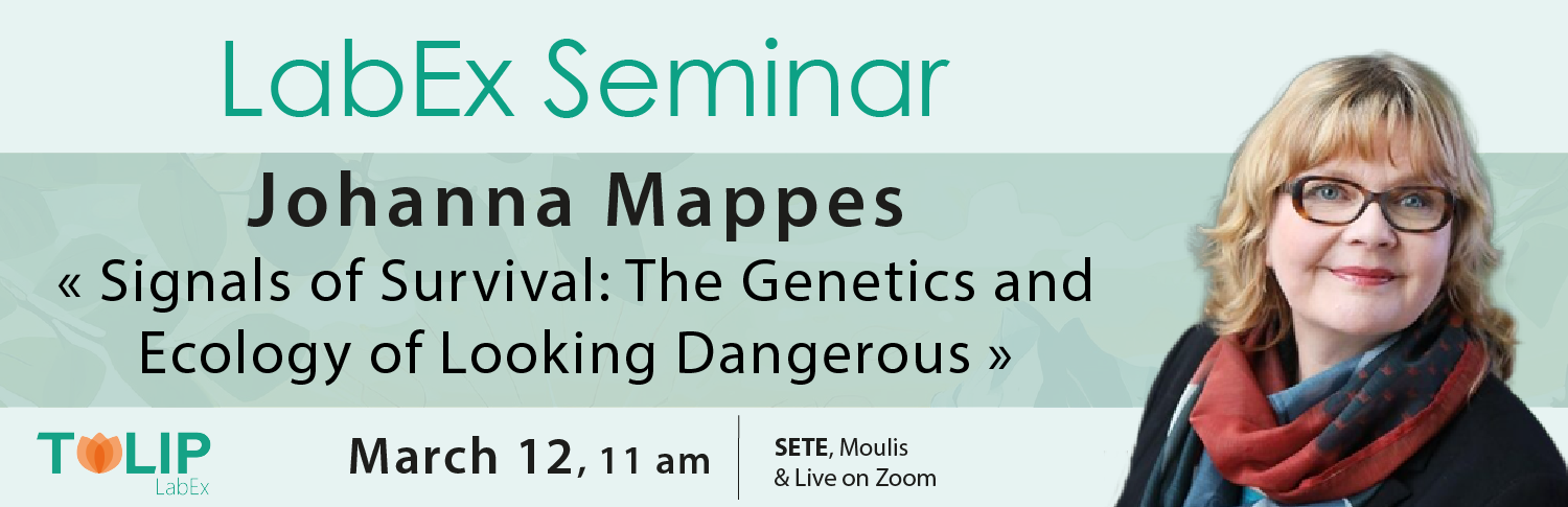 bandeau mappes.png bandeau mappes.png