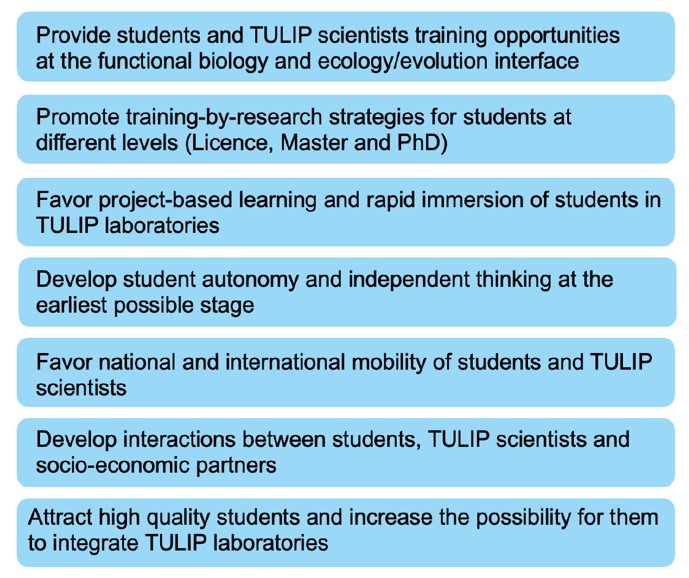 tulip gs objectives