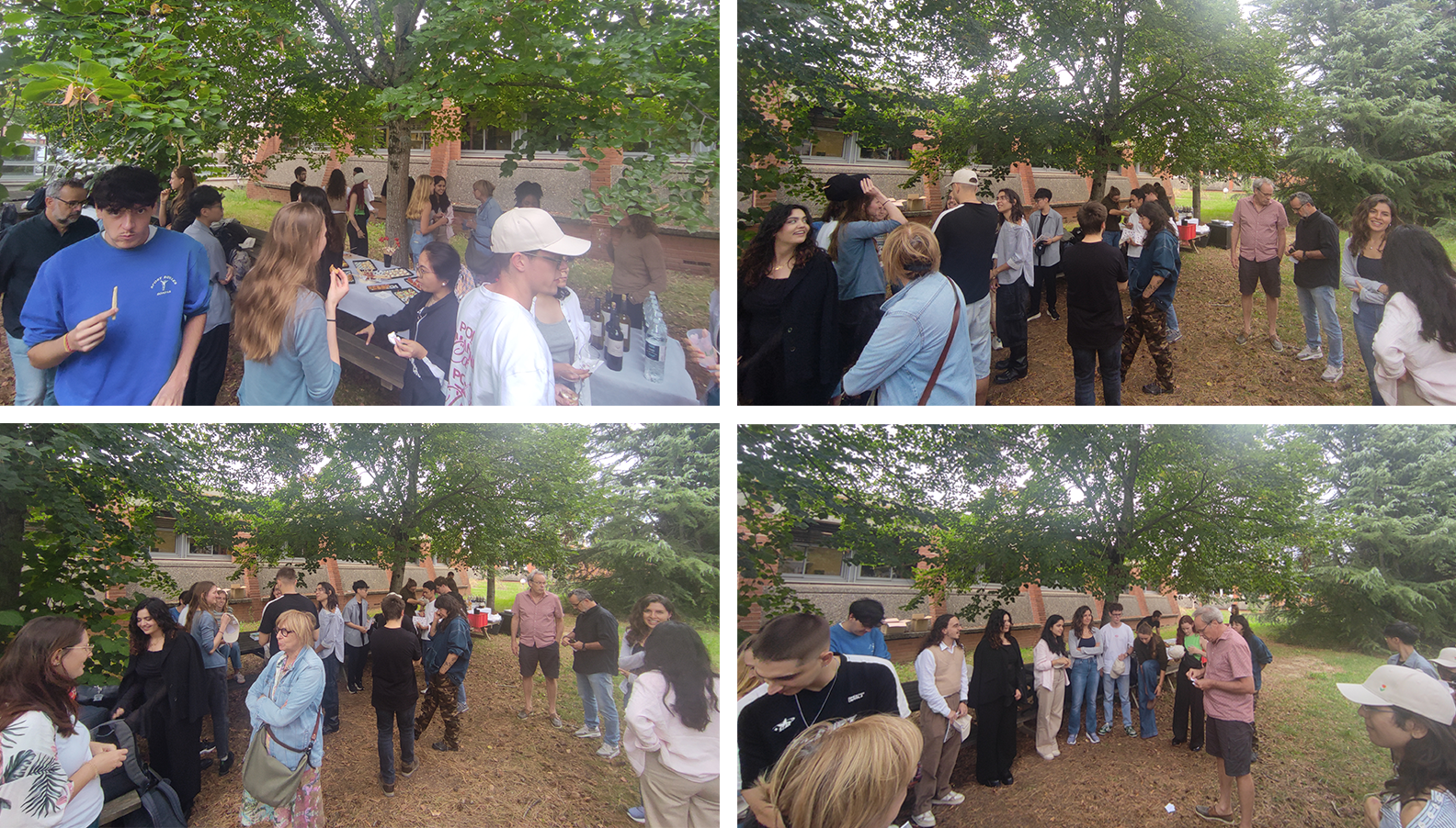 compil cocktail.png compil cocktail.png