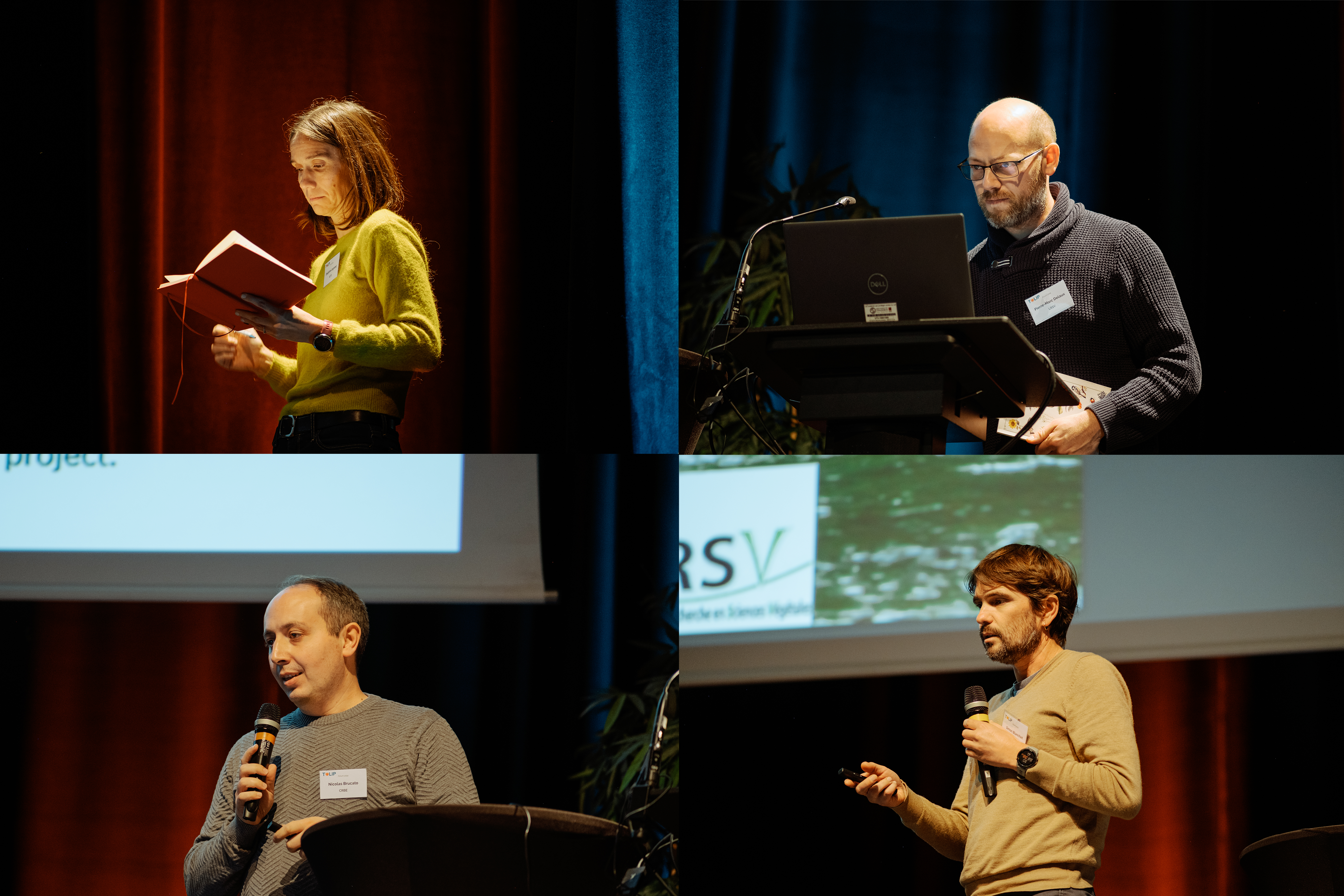 FORUM 24-6