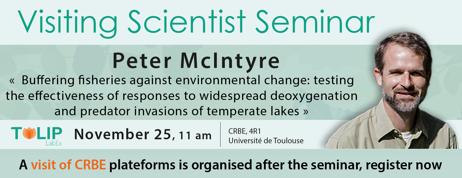 peter mcintyre peter mcintyre