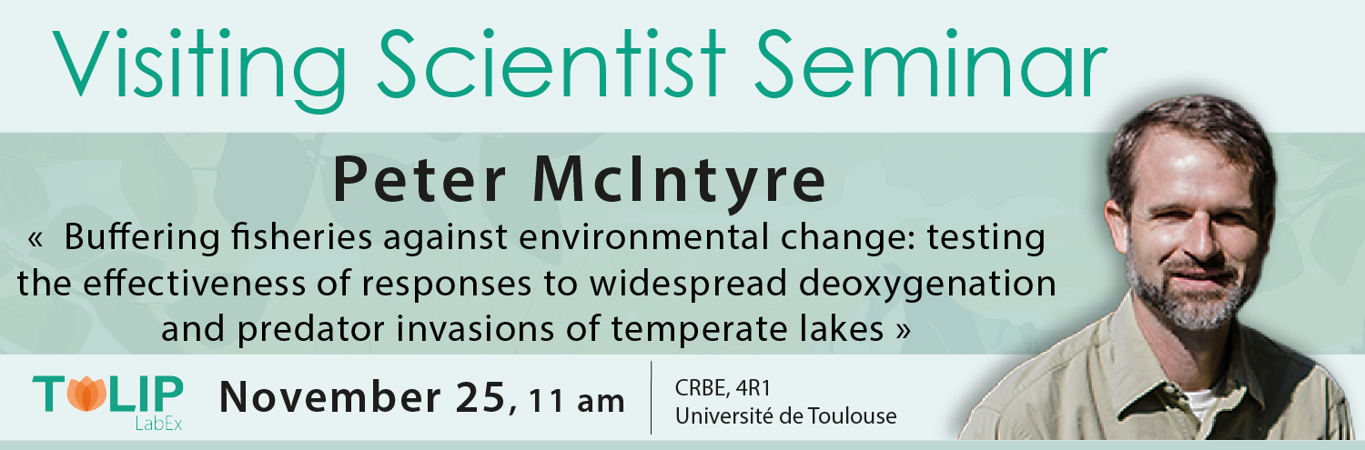 peter mcintyre peter mcintyre