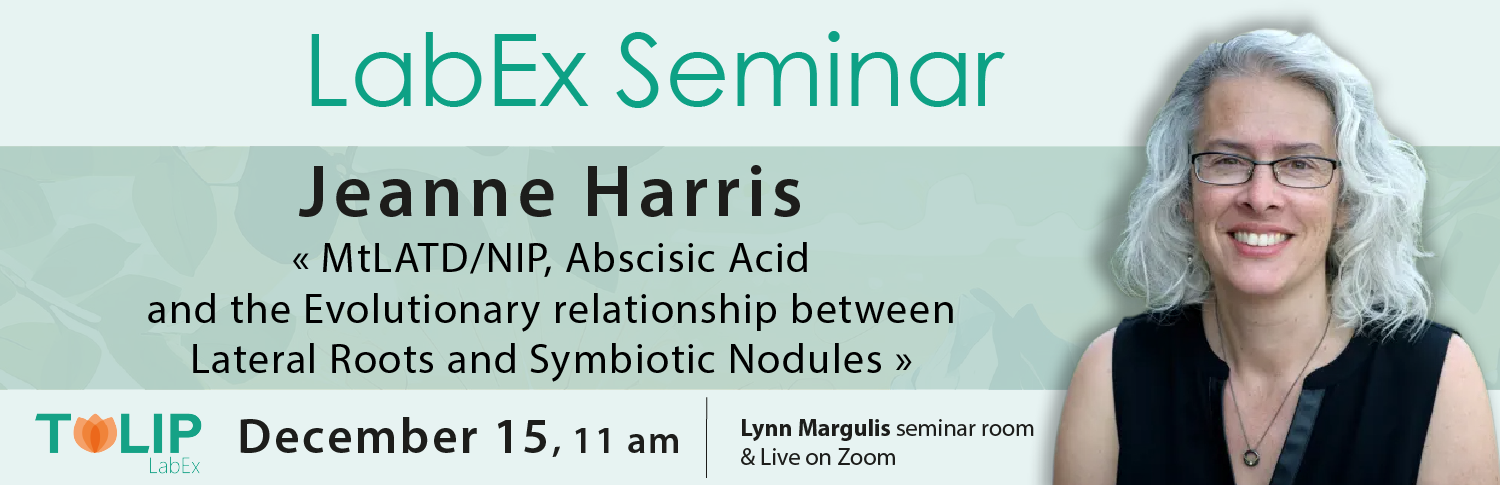 seminaireJeanneHarris.png seminaireJeanneHarris.png