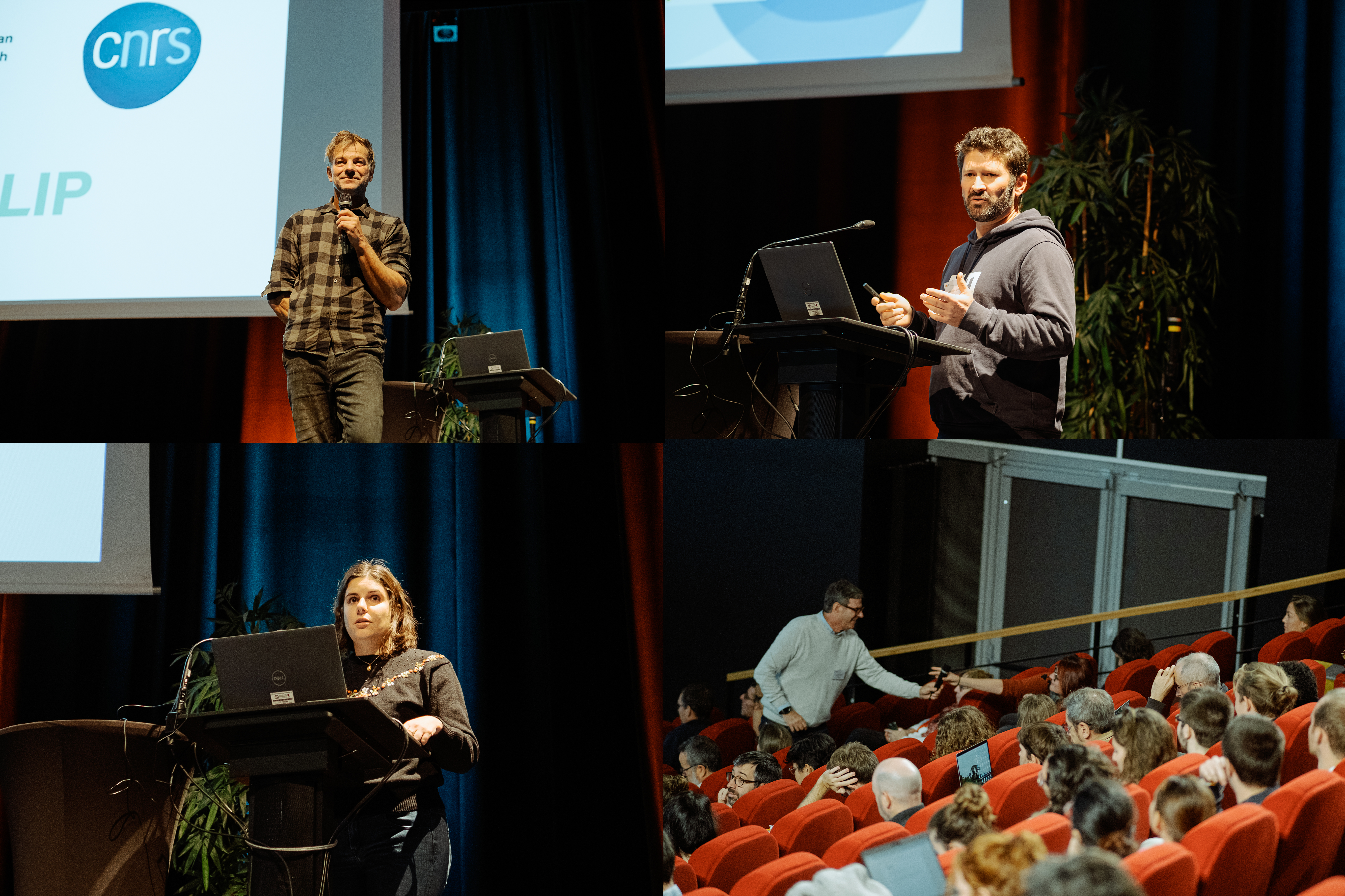 FORUM 24-2