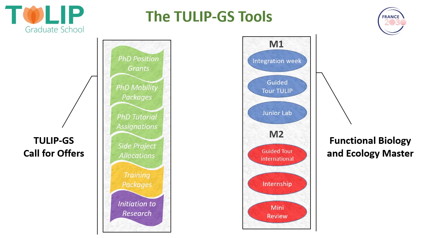 tulip gs tools