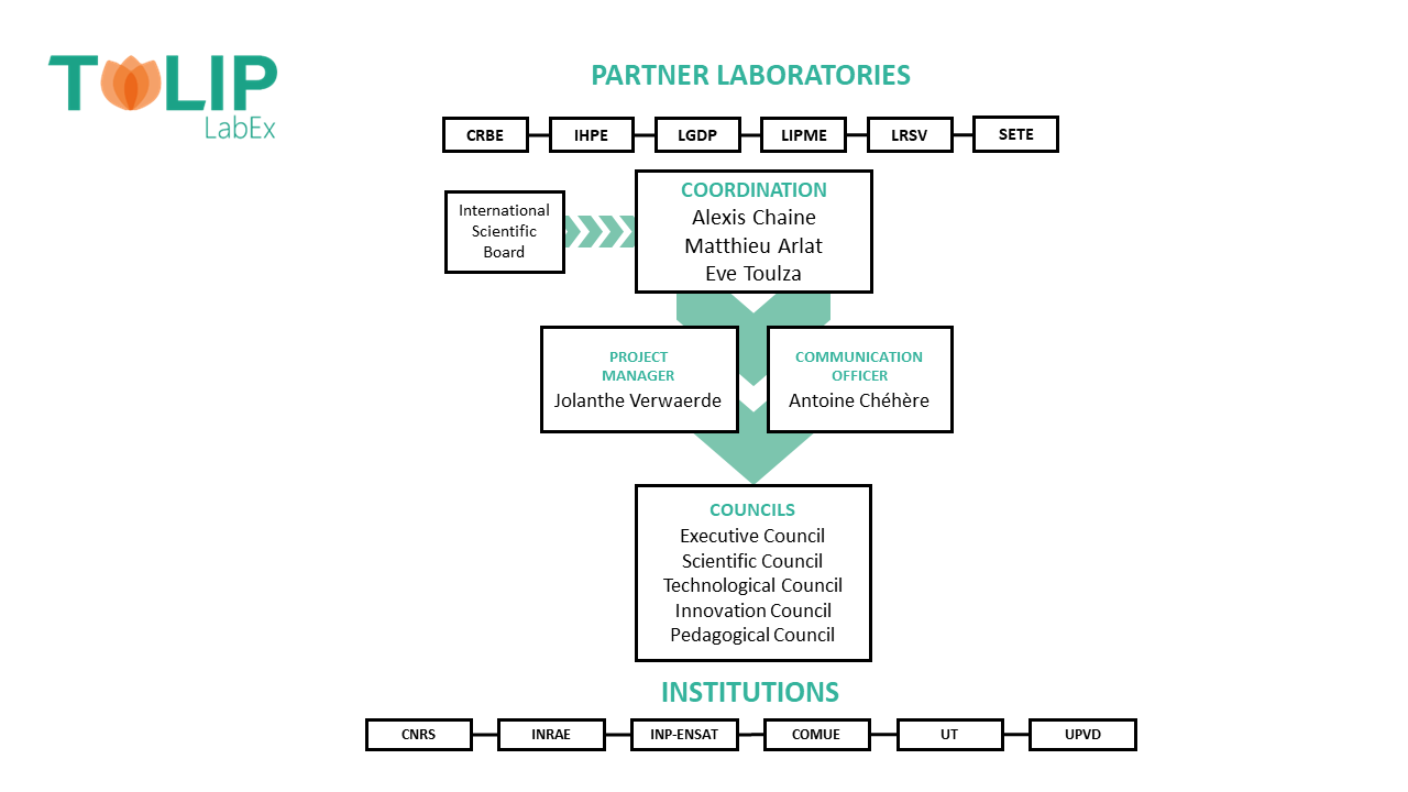 organigram labex 2026