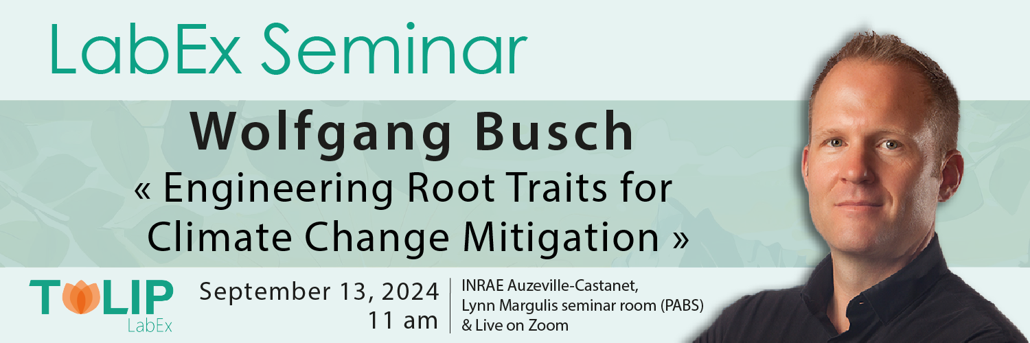 seminaire wolfgang busch