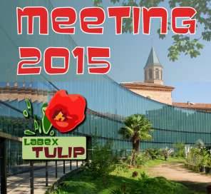 Meeting 2015