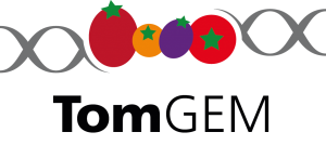 TomGem_Logo_Final_Big