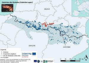 Aire_distri_Calotriton_asper