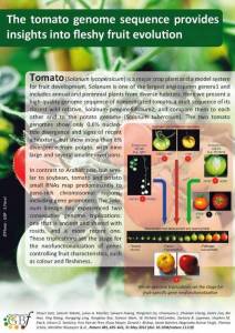 Panneau tomato genome sequenced