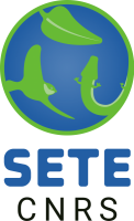 logo SETE 2024