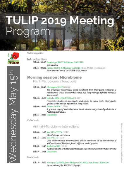 ProgrammeMeetingTULIP2019