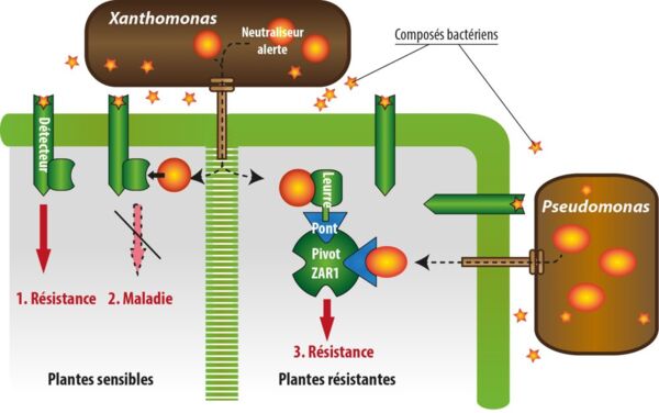 figuremod_fr_web figuremod_fr_web