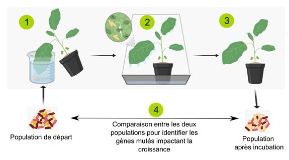 RA2022-Fiche-fait-marquant-Inrae_SIX