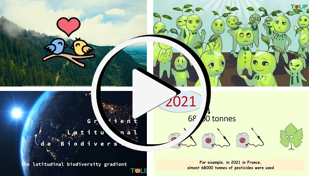 Vidéos des Junior Lab