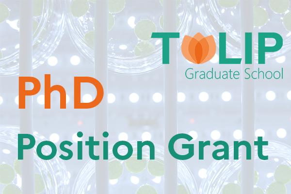 PhD "Position Grant" 2023-24