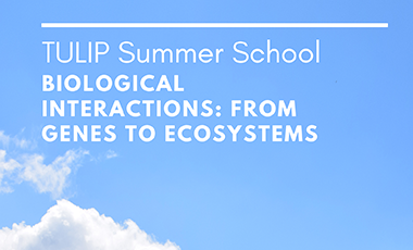 REPORTEE - Ecole d'été en Biologie et Ecologie intégratives 2020