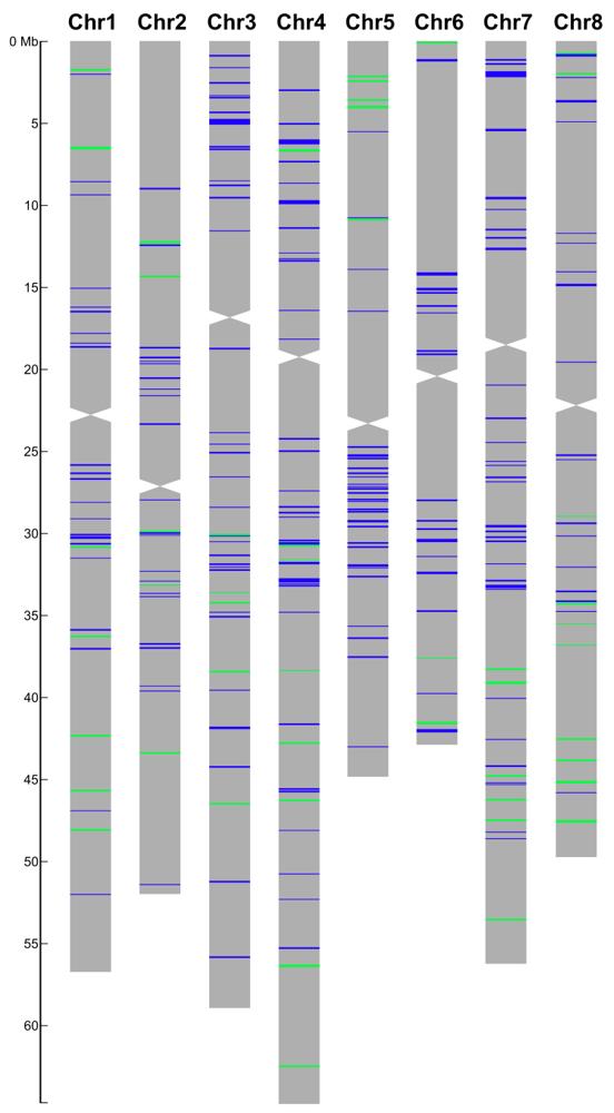 FM_2019_GamasNaturePlants_Ilotssymbiotique