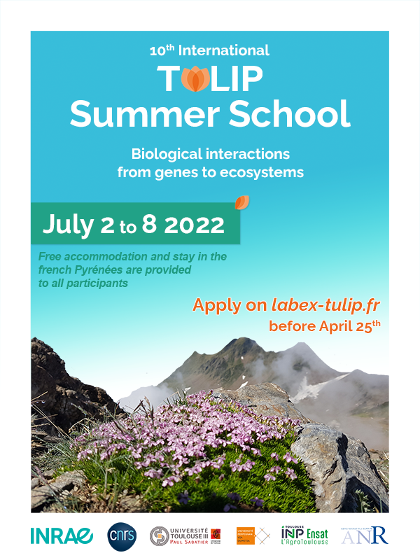 affiche summer school 2022 actu